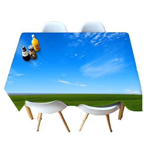 HUANZI Polyester Table Covers 3D Sky In PreRie Printed Design KüChen Textilien Blue Early Streak Dirt Free Tablecloth, rectangle - wide 178cmx long 274cm