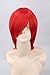 Topcosplay Unisex Universal Short Straight Cosplay Costumes Halloween Party Hair Full Wigs (Red)