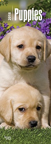 Download Puppies 2018 Slim Calendar Download Puppies 2018 Slim Calendar