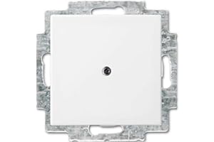 VOLTKING Busch-Jaeger 2538-914 Blindzentralscheibe mit Tragring (Thermoplast) Balance SI Alpinweiß