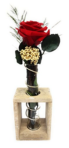 Rosen-te-amo Rote Rose (Konservierte Rose) – Haltbare Blume (echte Blume) über JAHRE haltbar ohne WASSER – perfekt als Geschenk und Blumen-strauß - 4