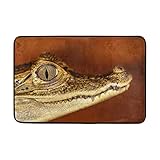 FAJRO Baby Crocodile Polyester Teppich Schuhe Schaber Eingang Weg Fußmatte Multimuster Fußmatten Home Dec Anti-Rutsch Indoor Outdoor