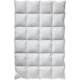 Billerbeck 5544120001 edredón de invierno Suzanna kasstte II, 135 x 200 cm