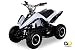 Produktbild Actionbikes Motors Mini Elektro Kinder Racer 800 Watt ATV Pocket Quad Kinderquad Kinderfahrzeug... (Weiß/Schwarz)