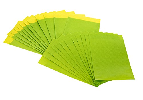 Download 50 pcs Petit Sachets Cadeau plats dans maigrün, vert tilleul, vert clair... 13 x 18 cm - DT. Fabrication - pour le calendrier de l'avent bricoler, pour des petits cadeaux, sachets de Fête et bien plus encore Download 50 pcs Petit Sachets Cadeau plats dans maigrün, vert tilleul, vert clair... 13 x 18 cm - DT. Fabrication - pour le calendrier de l'avent bricoler, pour des petits cadeaux, sachets de Fête et bien plus encore