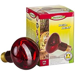 Red Heat Infrared Basking Spot 75w