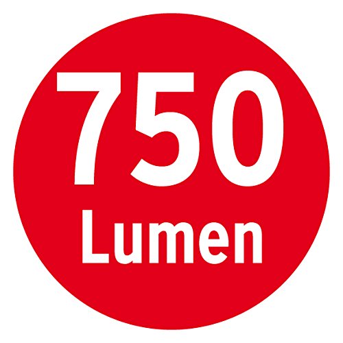 Brennenstuhl Mobile Chip-LED-Leuchte / LED Strahler innen und außen (Außenstrahler 10 Watt, Baustrahler IP65, LED Fluter Tageslicht) Farbe: silber - 3