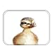 Produktbild beautytt Dog Bird Deer Bear Pattern Anti-Slip Suede Carpet Door Mats Doormat Outdoor Kitchen Living Room Floor Mat Rug 40cm*60cm