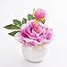 Produktbild Künstliche Pfingstrose ANISA im Keramiktopf, rosa, 20 cm, Ø 17 cm - Kunstblume / künstliche Blumen - artplants