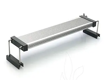 Twinstar Aquarium WRGB LED Light | B-Line | Model: 45B (Version III) | Indian Fish Monsters (IFM)?