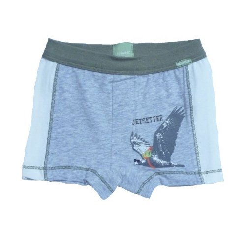 Kanz Baby Boys' Panties Grey Gris - Hellgrau
