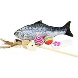 Katzenspielzeug Set von 5.Variety Interaktive Kitten Spielzeug mit Katze Teaser Stab, Katzenminze Fisch, Sisal Seil Weave Ball, bunte weiche Schaum Regenbogen Ball,LED-Licht-Zeiger-Tatzen-Art-Katze-Spielwaren für Haustier.