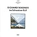 Produktbild Wagner im Schweizer Exil