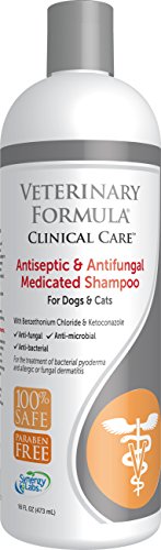 Vf Clinical Care Antiseptic,antifungal Medicated Shampoo 17oz