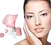 2015 Hotsale Wholesale Facial Sauna and Steam Inhaler Lady Beauty Facial Steamer Nose Skin Sauna Spa Pores Renewal Fragrance (Pink)