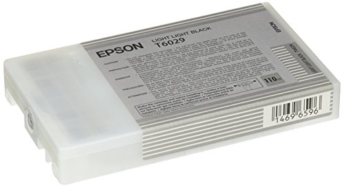Epson T6029 Cartouche d'encre d'origine Gris Clair (110Ml)