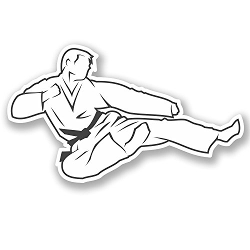 2 x Karate Black Belt Sticker Car Bike Bike Laptop Martial Arts Judo #4176 (10cm Wide x 6cm)