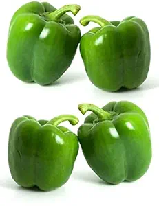 Creative Farmer Vegetable Seeds Sweet Pepper Seeds - Capsicum Green ?Seeds Seeds For Summer Season Home Garden Seeds