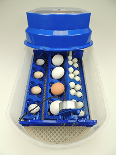 S12 Motorbrüter autom. Wendung Brutapparat, Inkubator, für bis zu 48 Eier Inkubator - 3