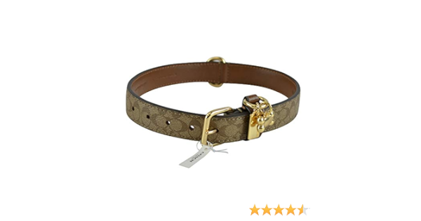 coach cat collar