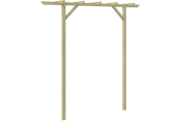 vidaXL Bois Pergola de Jardin 200x40x205 cm Rosiers Plantes Grimpantes Voute