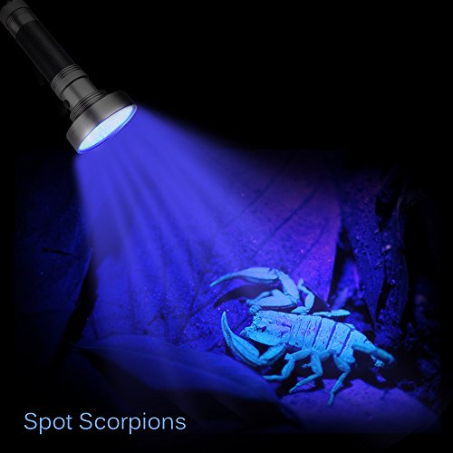 WOLFWILL LED Schwarzlicht Taschenlampe UV Flashlicht mit UV Schutzbrille für Camping,Outdoor - 6