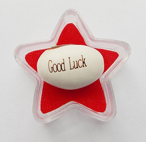 Magic Message Bean GOOD LUCK in a STAR box/Growing Words/Novelty/Xmas Party Gift/Stocking Filler/Valentines/Seed/Plant