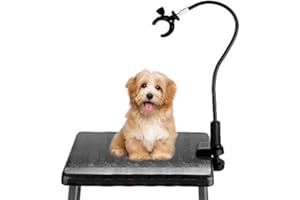 SMANDY Haartrockner Halter 360 Grad drehbare Freisprecheinrichtung Haartrockner Stand Aluminiumlegierung Schwanenhals Haustier Hund Katze Fellpflege Tisch Haartrockner Clip Halter mit Klemmhalter