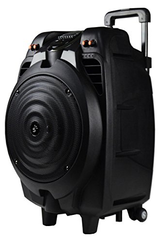 Sunstech Massive-S10 - Altavoz móvil con Bluetooth (50 W, USB, incluye mando a distancia), negro