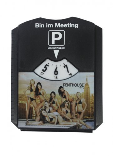 Preisvergleich Produktbild Parkscheibe mit Eiskratzer Penthouse Menge:1Stück