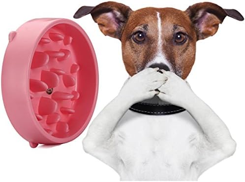 WOLFTEX Dog Slow Feeder Bowl | Slow Eating Dog Bowl | Interactive Feeder | Slow Down Feed Dog Cat Feeding Bowl | Pet Bloat Stop Dog Bowl (Pink)