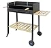 Produktbild Imex der Fuchs 71546 Grill mit Rollen und Bügeleisen, emailliert, 69 x 40 x 93 cm, Schwarz