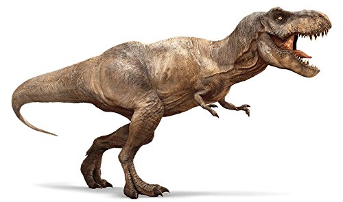 German Trendseller® – 6 x Dino im Ei ★ NEU ★ ┃ ++ Echt schlüpfender Dino ++ ┃ Mitgebsel ┃ Kindergeburtstag ┃ Dinosaurier ┃ Schlüpfgarantie 100%┃ 6 x Dino Eier - 5