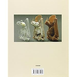 Dibujo científico: Arte y naturaleza, ilustración científica, infografía, esquemática