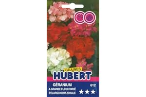 GRAINES HUBERT SEMENCES & ENGRAIS MAIROL 30 Graines de Géranium a grande fleur varié