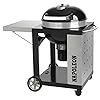 Napoleon Nk 22 Ck C Charcoal Professional Holzkohle Kugelgrill