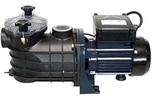 Spid'O 2961 Pompe de piscine SPIDO PC500, Bleu