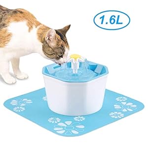 KOOPAO Pet Cat Dispensador de Fuente de Agua,1.6L Mascotas Filtros de reemplazo de Fuente automáticos Ultra silencioso Saludable e higiénico para Perros Gatos 1 Filtro 1 tapete de Silicona Green