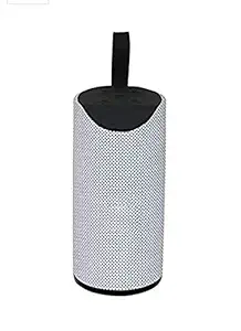 TG 113 2 Kilo Watt Wireless Bluetooth Portable Speaker (Silver)