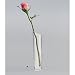 Produktbild Acryl Blumen Vase klar 20 cm hoch Ø5cm Blumenvase Campingzubehör Wohnzimmer Dekoration Tischvase Glas Optik