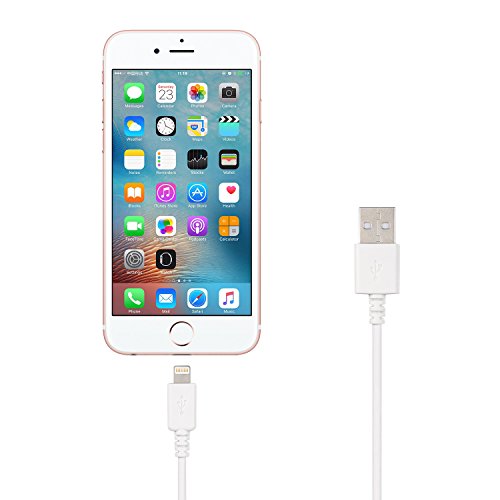 iPhone Charger Lightning Cable [4 Pack], EReach 11â€™â€™ Short Lightning to USB Sync and Charging Cable/Cord for iPhone 7 plus/7/6s plus/6s/6 plus/6/5s/5c/5, iPad Mini, iPad Air, iPod/iPod Touch (White)