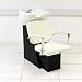 Salon Backwash & Chair Unit - White