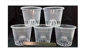 Aadhinarayana Traders Orchid/Clear/Transparent Plastic Pots for Orchids (4.5-inch) -Pack of 5 - Aadhinarayana