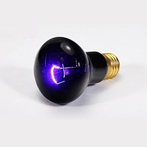 Pet Online Pet-Isolierung lampe Schildkröte echse Reptil Schildkröte ohne UVA-Lichtquelle nacht Heizung Glühlampe 40 W