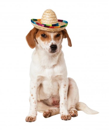 Rubies-Official-Sombrero-Pet-Dog-Costume