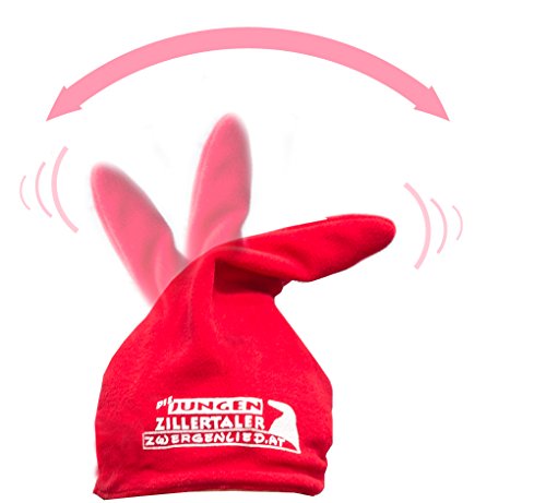Preisvergleich Produktbild Wackelzipfelmütze