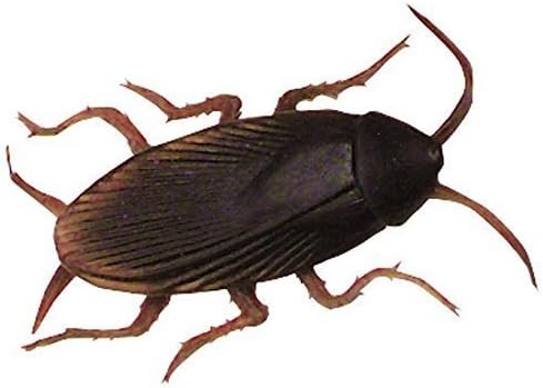 HotEnergy Fake Cockroach Practical Joke Insect Bug Toy Cockroache by HotEnergy