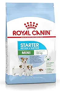 Royal Canin Mini Starter for Gestating/Lactating Mother Dog & Upto 2 Months Baby Dog (8.5 KG)