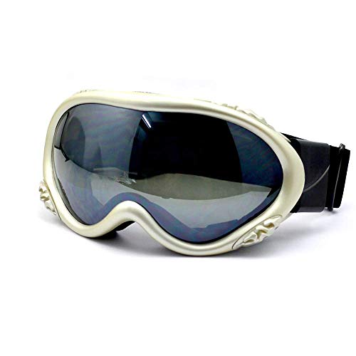 Preisvergleich Produktbild Professionelle Ski Brille Doppel Anti-Fog-Brille Ski Helm Brille