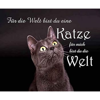 Mousepad Mauspad Für Die Welt Bist Du Eine Katze Mousepad Lustige Mousepads Geschenkartikel Computerzubehör